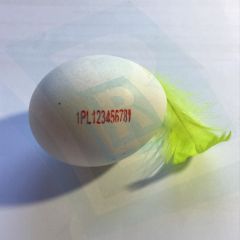 farba na VAJÍČKA 50 ml (COLORIS)